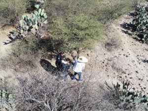 Con drones localizan a abuelito en cerro de Hidalgo